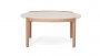 Coffee table CT 19