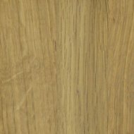 Dub - white pigmented oil 04