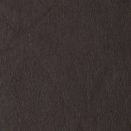 KŮŽE B - Titanic - Espresso