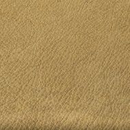 KŮŽE B - Sierra - Cognac