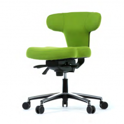Kancelářská židle Ergo+ low