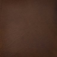 KŮŽE A - Pure Leather - Caramel Cafe-Matt