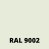 RAL 9002