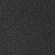 KŮŽE B - Titanic - Anthracite