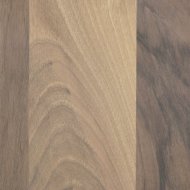 Evropský ořech - pigmented oil