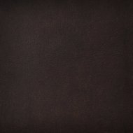 KŮŽE A - Pure Leather - TS.Rich-Matt